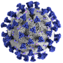 covid 19 virus illustration small